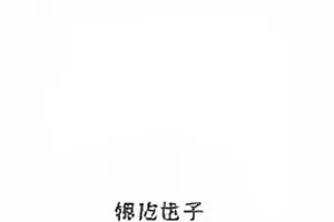 《第七号直播间》掉线画面，黑色背景上的重连提示